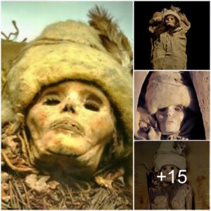 Discovered that a 4,000-year-old beauty mummy in China has mixed Western genes