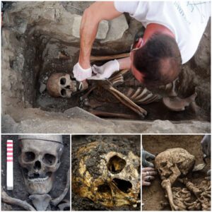 Ancient Secrets Unearthed: Startling Skeleton Discovered in Hidden Chamber