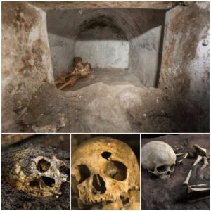 Skeletons in the Closet: Unearthing a Cryptic Past