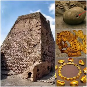 Excavating a gold-covered tomb in the Xinjiang region, the archaeological team was surprised to see the body of the tomb owner: There was a hole in the middle of the skull!