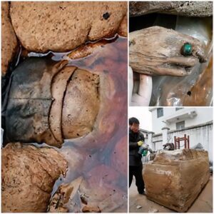 Digging the road, discovered the mummy of "Chinese beauty" 700 years old still intact