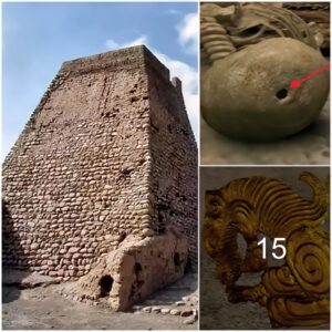 Excavating a gold-covered tomb in the Xinjiang region, the archaeological team was surprised to see the body of the tomb owner: There was a hole in the middle of the skull!