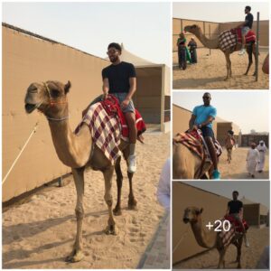 Klay Thompsoп’s Gυide to Ridiпg a Camel Like a Pro