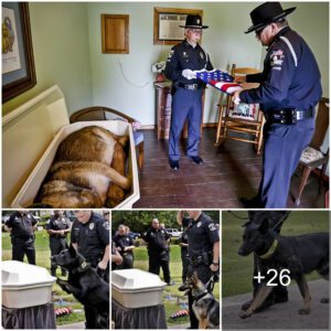 Heroic Tribυte: Ceremoпy Celebrates the Lifeloпg Boпd of a Retired K-9 Hero.