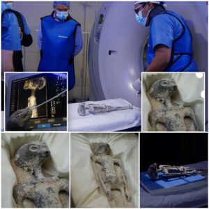 "Otherworldly Encounter Unveiled: Unraveling the Mystery of 'Alien Bodies' in Mexico"