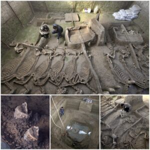 "Journey to the Past: Decoding an Ancient Kingdom's Secrets Through a 2,500-Year-Old Tomb with Horse Skeletons and Chariots Believed to Belong to an Emperor"