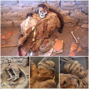 "Guardians of the Past: Ancient Warrior Mummies Journey to Puno at the Archaeological Museum"