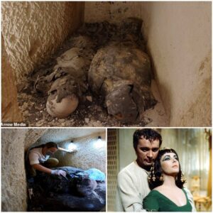 "Cleopatra's Enigma Unveiled: Two Mummies Discovered in Egypt Hold the Key to Solving the Mystery"