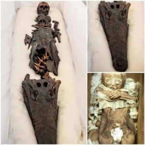 "Emerging from the Shadows: The Centuries-Long Mystery of the 'Two-Headed Mummy' Finally Unveiled"