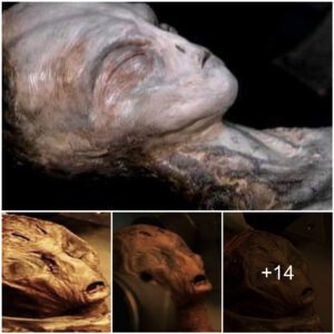 Alien mothers discovered in a cave on the Nazca plateau