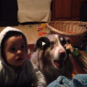 Mom Tries to Get Baby to Say ‘Mama,’ Bυt Hilarioυsly, the Dog Says It First