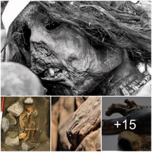 Many new discoveries about mummies related to medicine