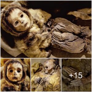 Revealing the heartbreaking truth behind the intact mummy of a family of 8 people