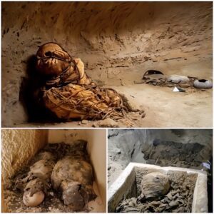 800 year old mummy wrapped in rope