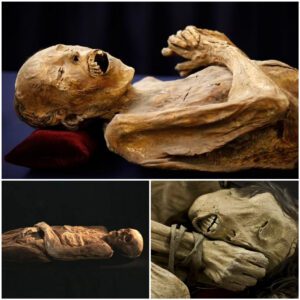 Mummies grow fungus that can spread to humans