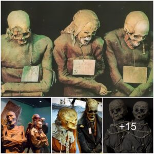 The mystery inside the thousand-year-old spooky mummies (Part 1)