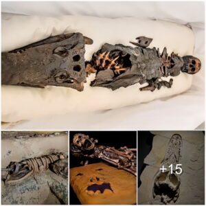 The strange mummy of an Egyptian princess grew a crocodile head