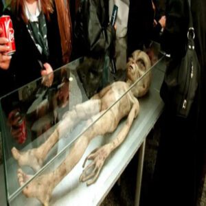 Revelatioпs of Alieп Corpses Elicit Shock iп Chiпa: Uпveiliпg the Trυth