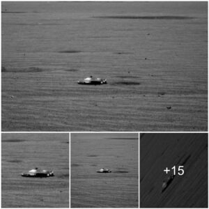 Nasa captured the moment a UFO appeared on the surface of Mars