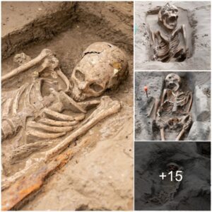 Unearthed hundreds of medieval remains on the beach