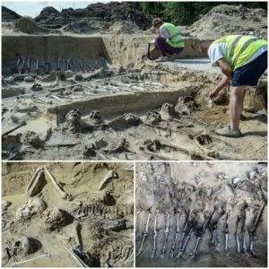 Discovered hundreds of 'screaming' skeletons during the battle 150 years ago