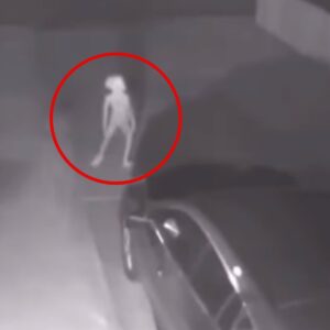 image of Mysterious “alien” creature accidentally captured on camera.