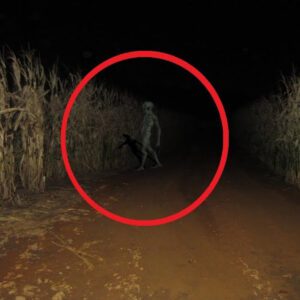 Aliens Appear Accidentally Caught on Camera( VIDEO)