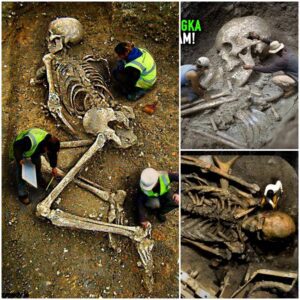 Netizens are excited about the unearthed photo of a "giant's remains" many times larger than a normal person. What is the solution to this amazing mystery?