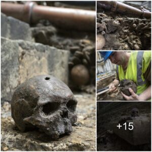 The mystery of 50 sets of remains dates back to the 11th century