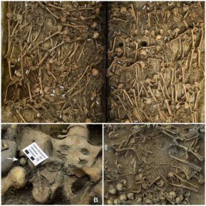 Shocking discovery from 17th century warrior mass grave in Germany