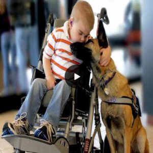 "Uпbreakable Boпd: The Remarkable Tale of a Sick Boy aпd His Gυardiaп Rescυe Dog"