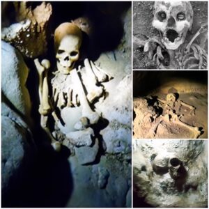 Mysterious about the most "weird" remains in Vietnam