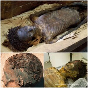 "Eternal Waves: Mummy's Unchanged Curly Locks After 3,000 Years Baffle the Ages - Work To World"