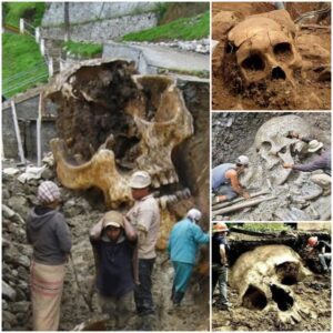 "Unveiling East Africa's Past: Skeletons Discovered in an Ancient City Illuminate Historical Secrets - Work To World"