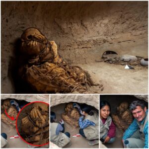 "Enigmatic Discovery: Unraveling the Mystery of a Roped Mummy with Covered Face in Peru's Underground Tomb - Work To World"