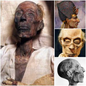 "Resurrecting the Past: Mummy of Ramesses II Reveals Remarkable Longevity - Work To World"