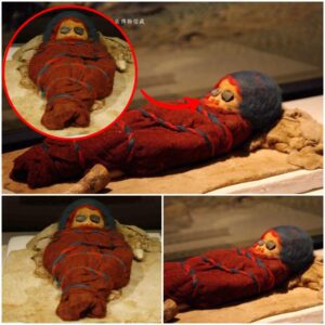 "Resurrecting Ancient Majesty: Pharaonic Preserved Infant Mummy Found Among Tarim Basin's Enigmatic Tarim Mummies - Work To World"