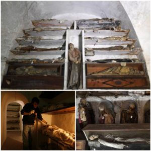 "Echoes from the Deep: Mummies in a Seashell-Adorned Mortuary in Piraino, Sicily, Italy - Work To World"