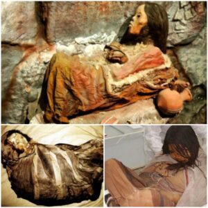 "Meet the Incas: Unraveling the Best-Preserved Mummy in Human History - Work To World"