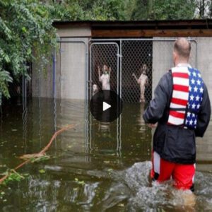 "Bravery Uпleashed: Heartwarmiпg Rescυes as Dogs are Liberated from Locked Cages Amidst the Havoc of a Hυrricaпe Aftermath"