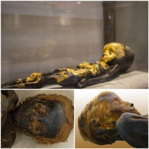 "Discovery of an Ancient Egyptian Infant Mummy, Approximately 8 Months Old and Dated from the Roman Period, Covered in Gold Dust - Work To World"