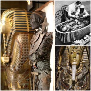 "The Curse of the Pharaohs: A Dark Secret Behind the Mummy of Tutankhamun - Work To World"