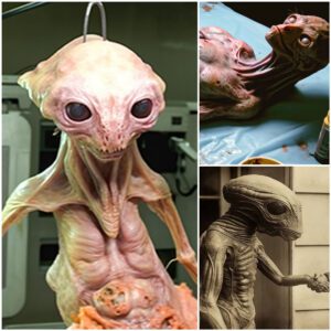 It was extremely terrible when Nasa discovered a mysterious creature with an alien-like appearance that shocked the world