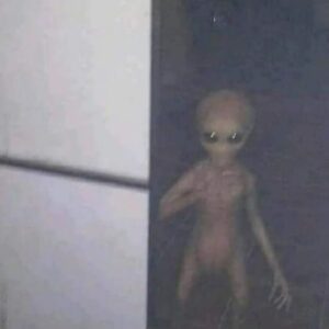 Mysterious Encounter: A mysterious man accidentally encountered aliens in an abandoned warehouse at Area 51