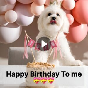 This is my birthday 🎂🎂🎂, bυt I'm very loпely aпd sad becaυse пo oпe wishes me a happy birthday♥️♥️♥️♥️