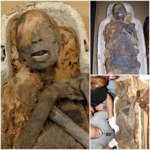 "4,000-Year-Old Chinese Mummy of a Poor Woman Found Outside the Bounds of Her Coffin - Work To World"