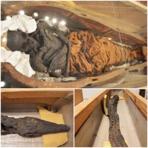 "Egyptian Mummies Almost 3,000 Years Old Found in Kiev"