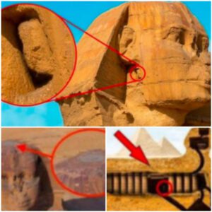 "Egypt's Sphinx May Be Hiding a 'Secret City' Built by a Lost Civilization, Historians Claim"