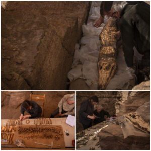 "Archaeologists Unearth 2,500-Year-Old Crocodile Mummies in Egyptian Tomb"