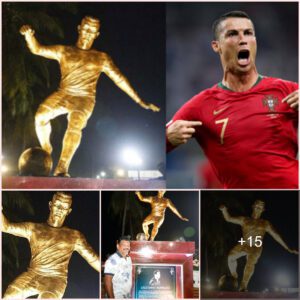 Ronaldo was suddenly sculpted in India and was severely "boycotted", why?